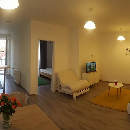 Schiller 58 Апартаменти Брашов