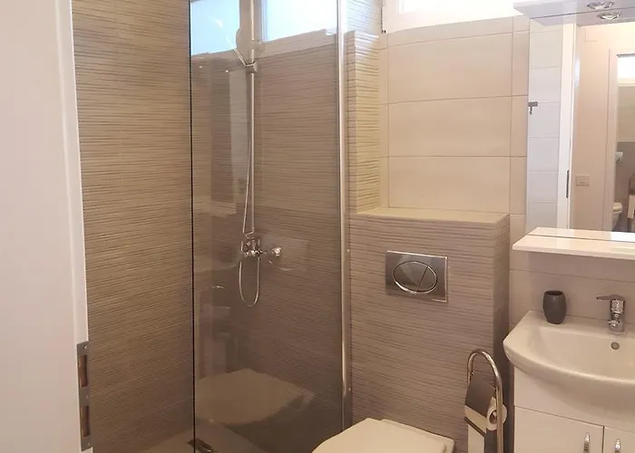 Schiller 58 브라쇼브